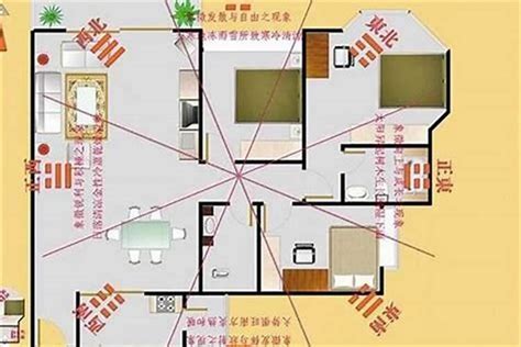 财位放什么|住宅风水的“财位”怎么找和布置？13超详细图解来教你